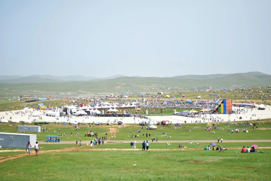 people on green grass field during daytime