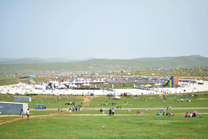 people on green grass field during daytime