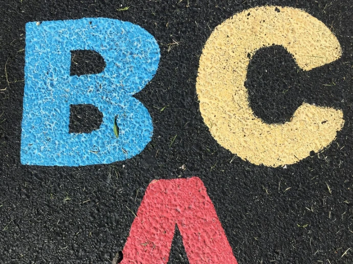BCA text